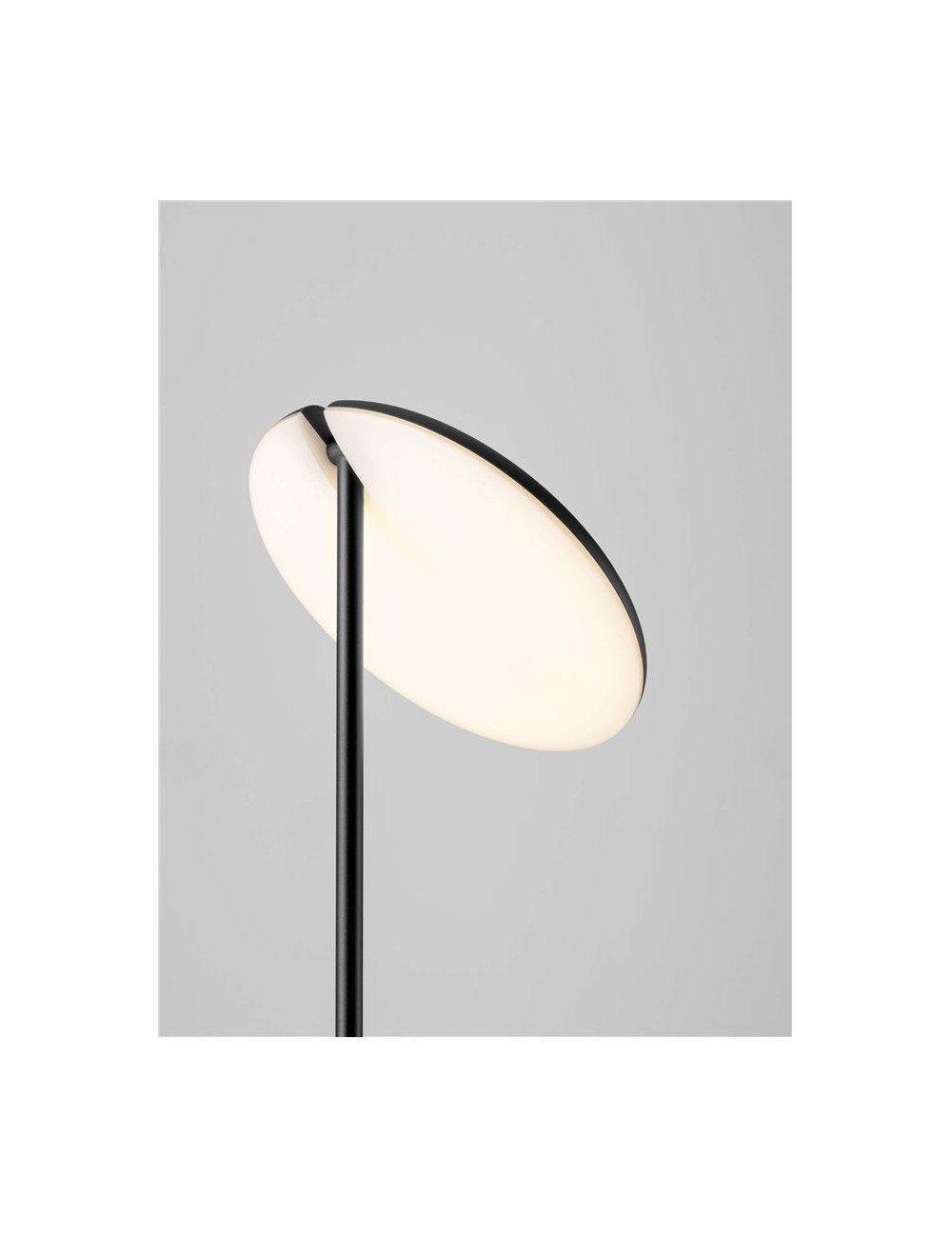 Floor lamp Notos Ø25 LED