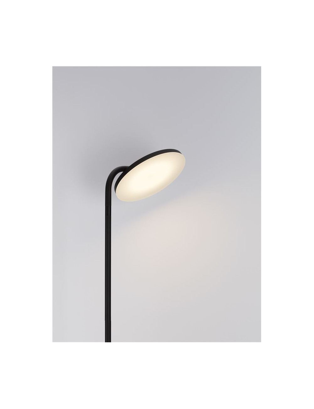 Toršeras Sinkro Ø25 LED