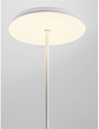 Nova Luce - Ophelia Ø39 LED 9695325 наполная лампа | TavaGaisma.lv/ru