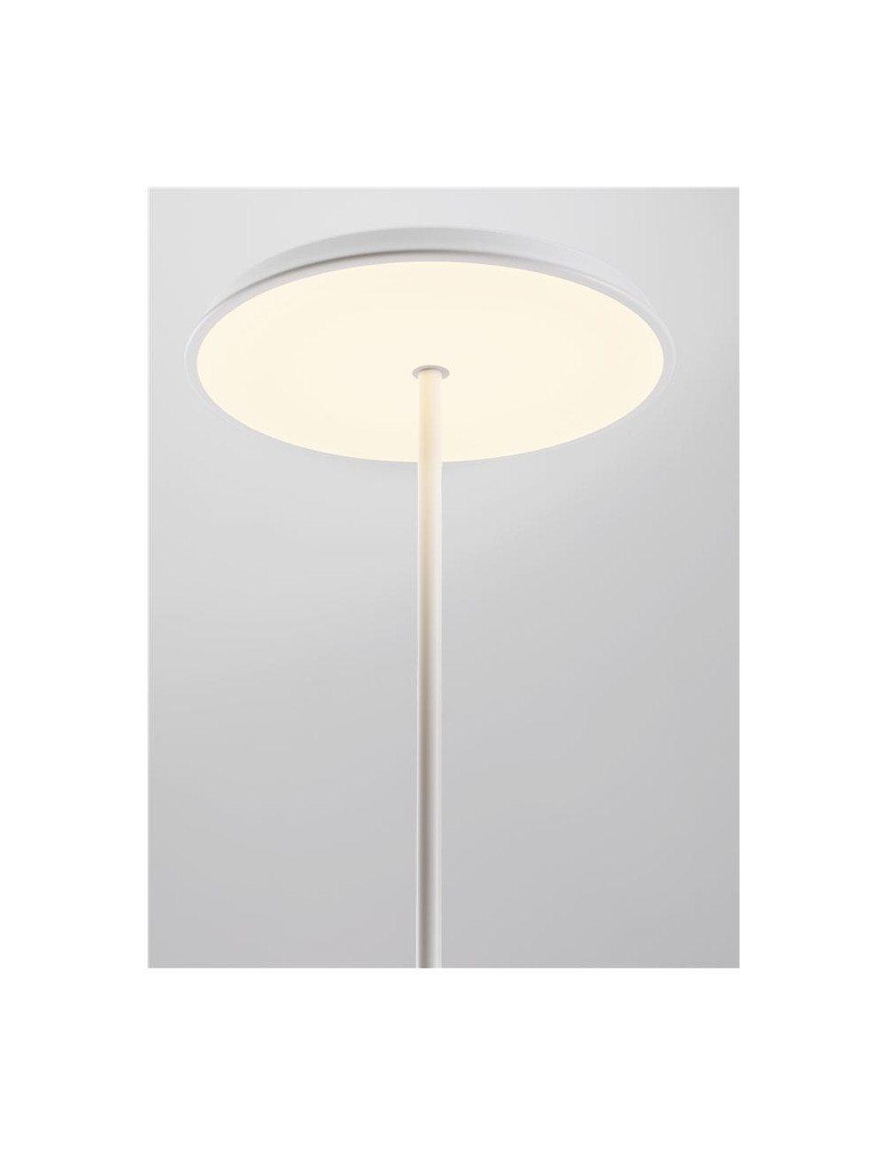 Напольная лампа Ophelia Ø39 LED