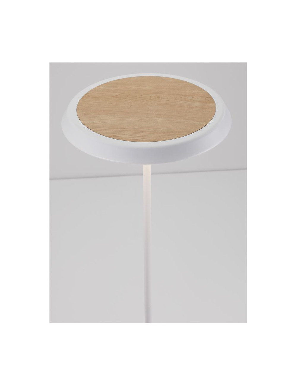 Напольная лампа Ophelia Ø39 LED
