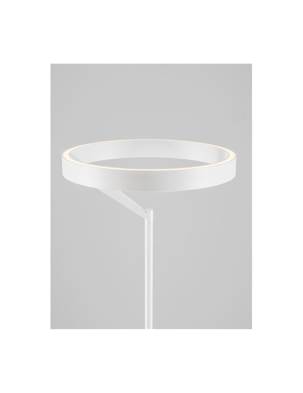 Põrandalamp Adaliz Ø40 LED