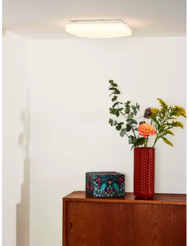 Ceiling lamp Otis LED