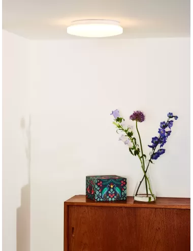 Griestu lampa Otis Ø26 LED