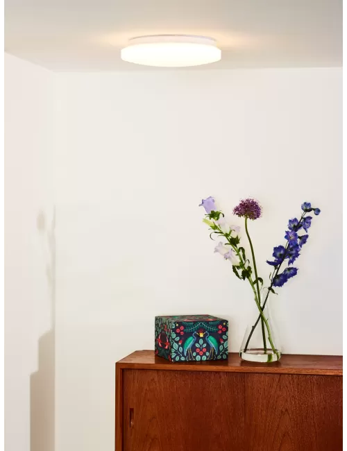 Deckenleuchte Otis Ø26 LED