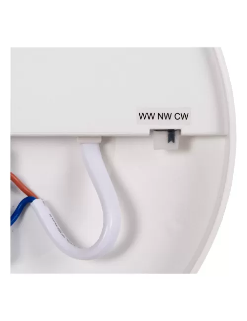 Griestu lampa Olson Ø29 LED IP44