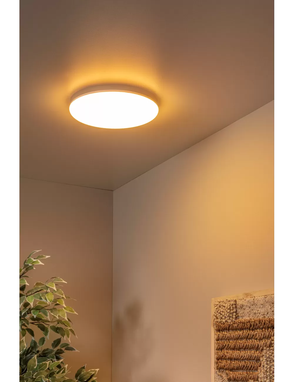 Laelamp Olson Ø29 LED IP44