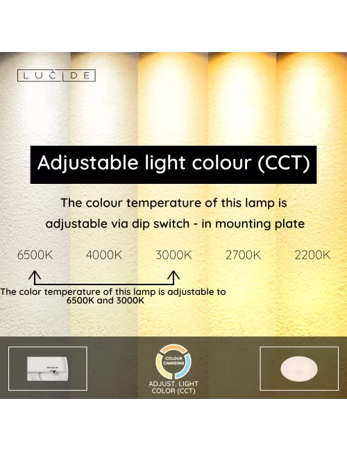 Ceiling lamp Olson Ø29 LED IP44