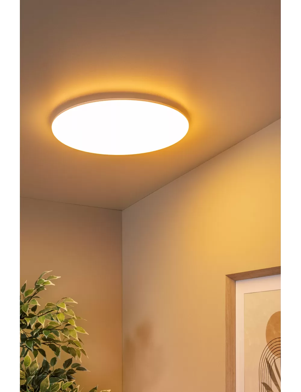 Lubinis šviestuvas Olson Ø45 LED IP44