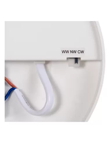 Ceiling lamp Olson Ø45 LED IP44