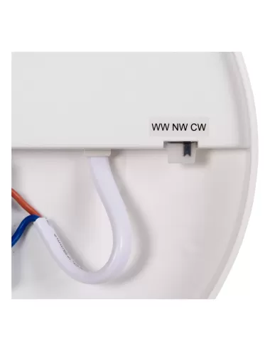 Lubinis šviestuvas Olson Ø35 LED IP44