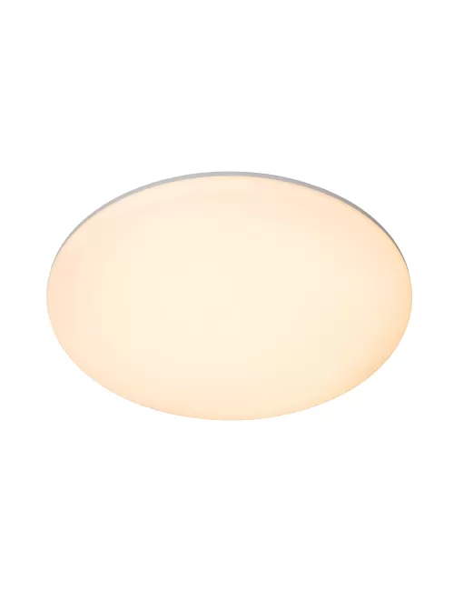 Lubinis šviestuvas Olson Ø35 LED IP44