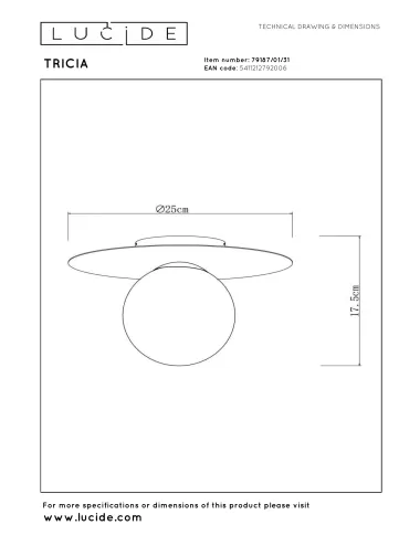 Lubinis šviestuvas Tricia Ø25