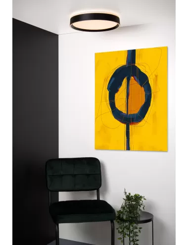 Griestu lampa Nuria Ø30 LED