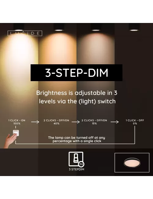 Griestu lampa Nuria Ø50 LED