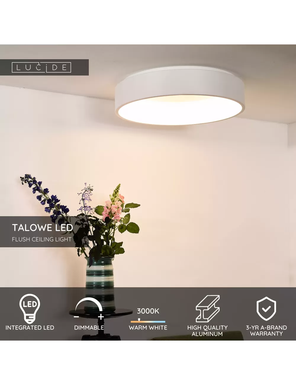 Lubinis šviestuvas Talowe Ø60 LED