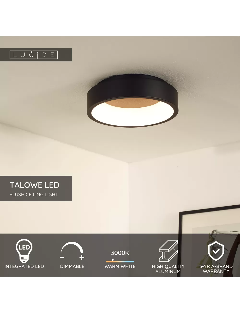 Потолочная лампа Talowe Ø30 LED