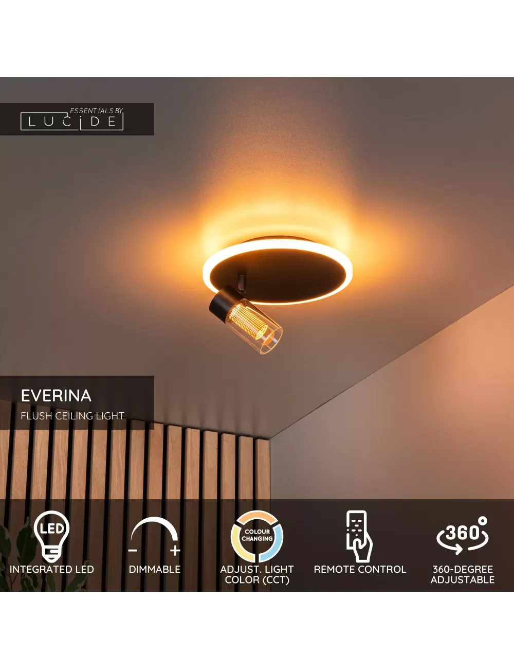 Griestu lampa Everina Ø23 LED
