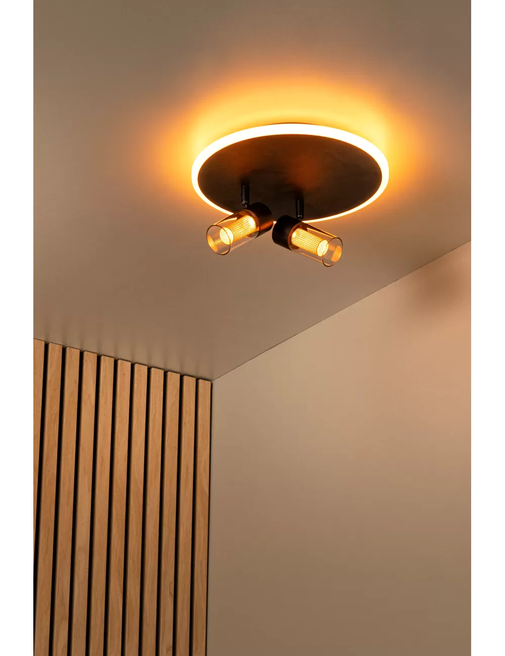 Deckenleuchte Everina Ø30 LED