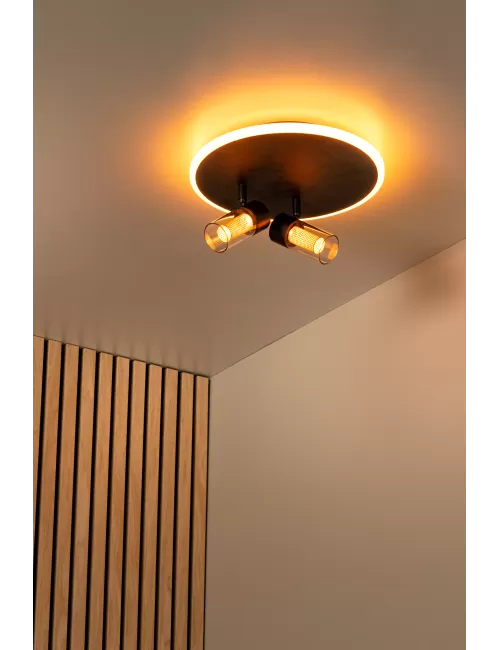 Deckenleuchte Everina Ø30 LED