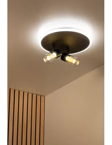 Deckenleuchte Everina Ø30 LED