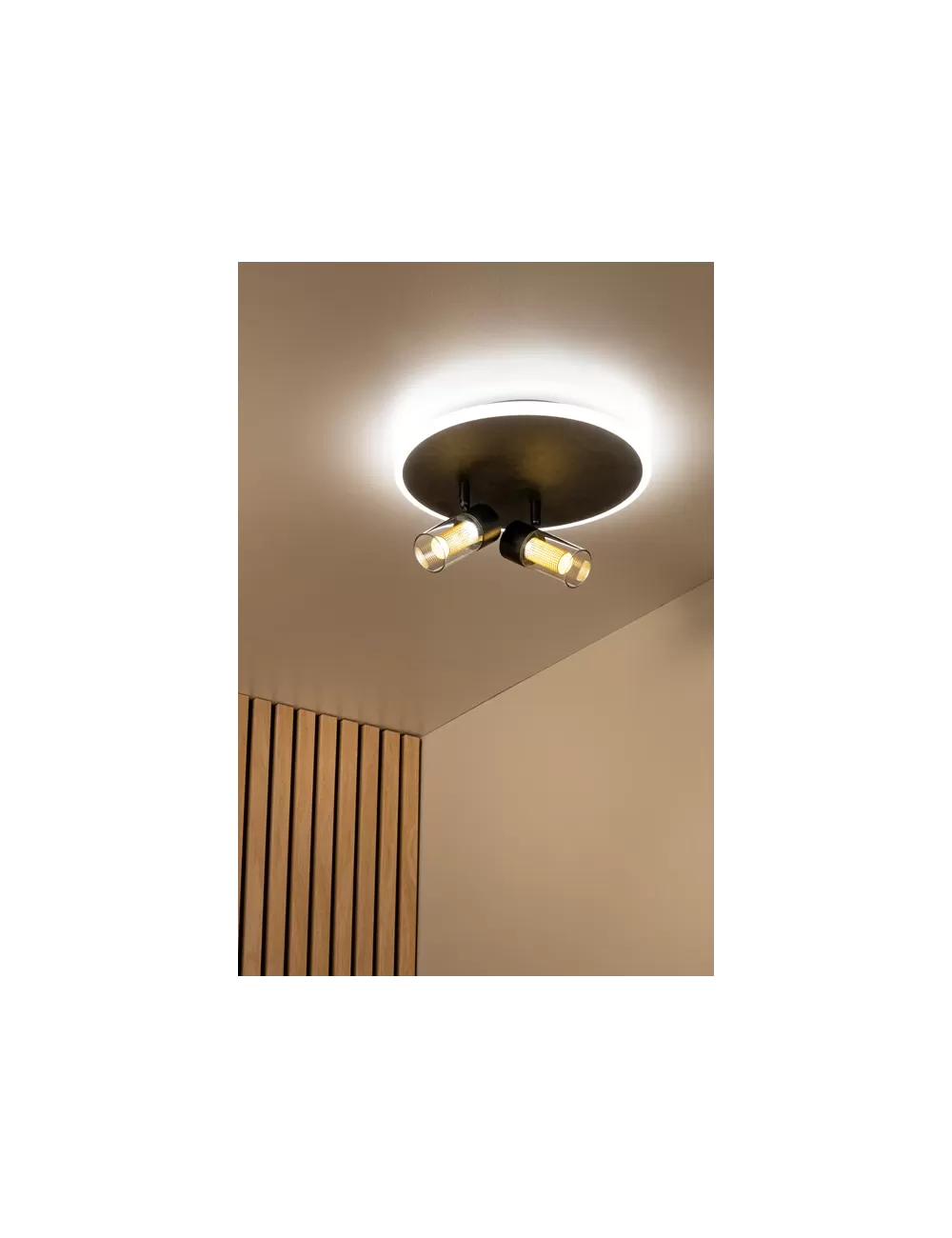 Deckenleuchte Everina Ø30 LED