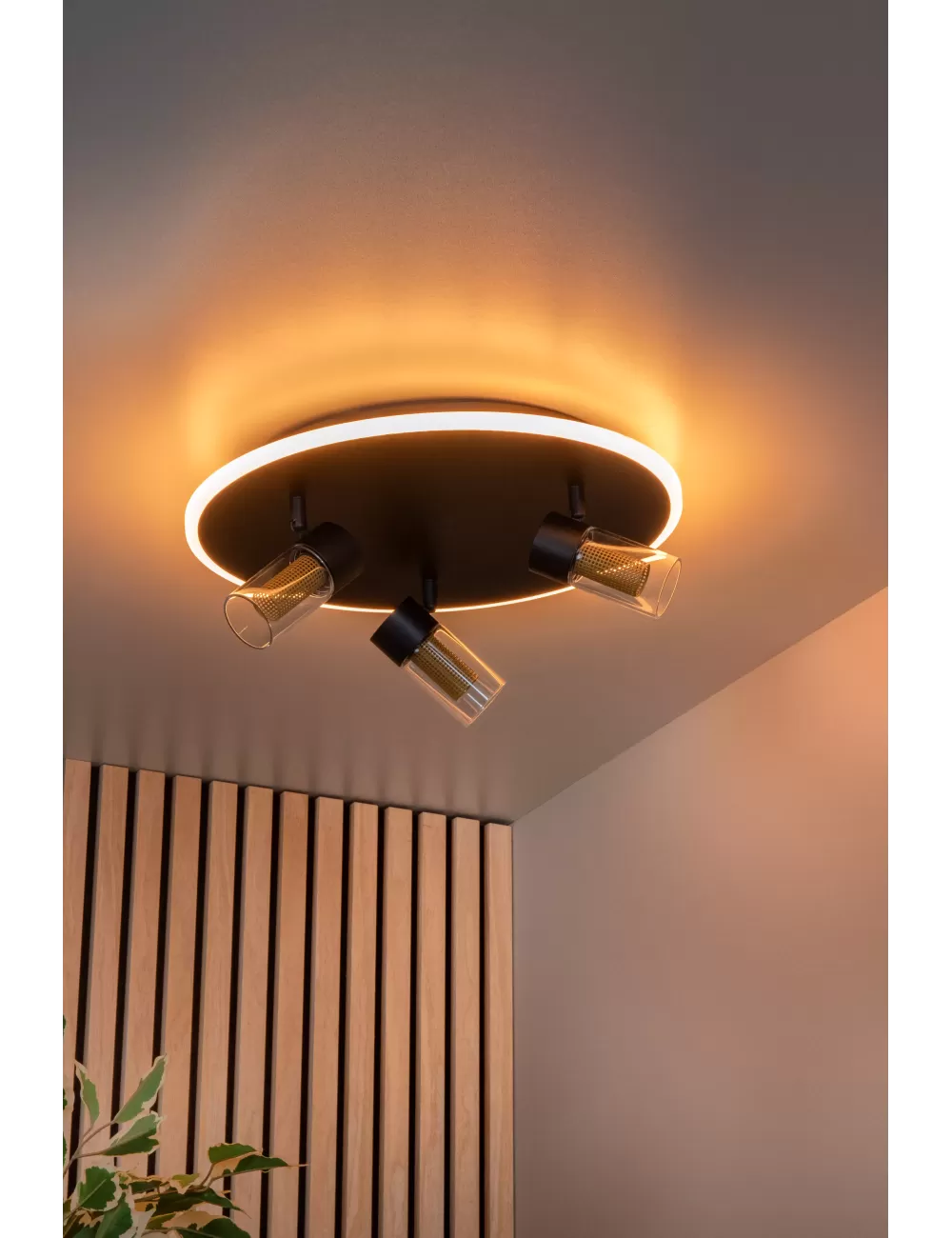 Deckenleuchte Everina Ø40 LED