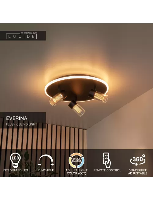 Deckenleuchte Everina Ø40 LED