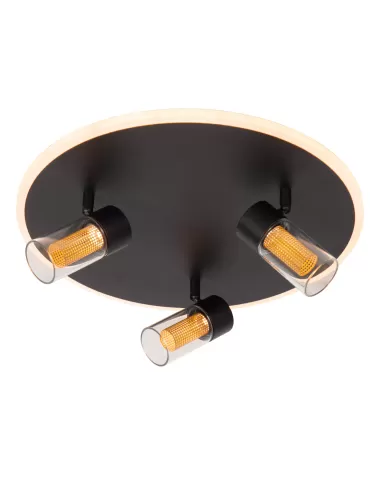 Deckenleuchte Everina Ø40 LED