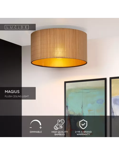 Ceiling lamp Magius Ø42