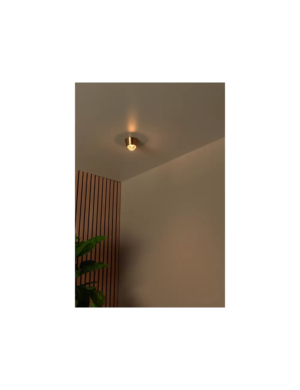 Потолочная лампа Rigon Ø9 LED