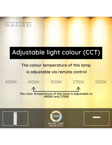 Griestu lampa Elly LED