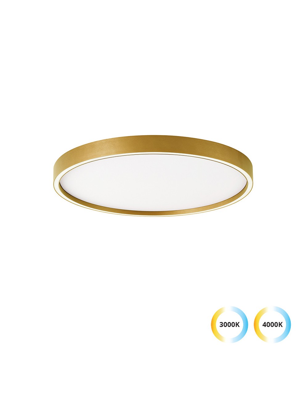 Deckenleuchte Vanessa Ø50 LED