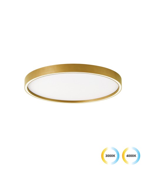 Deckenleuchte Vanessa Ø50 LED