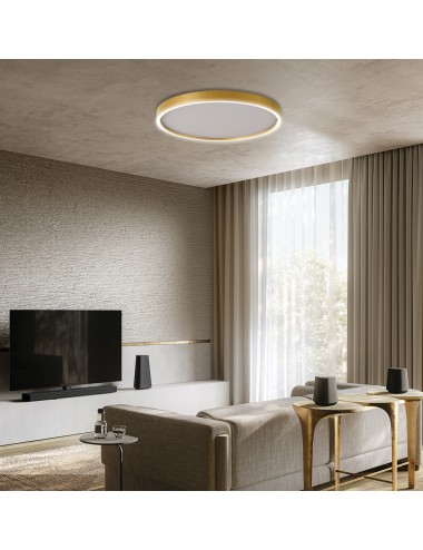 Потолочная лампа Vanessa Ø50 LED