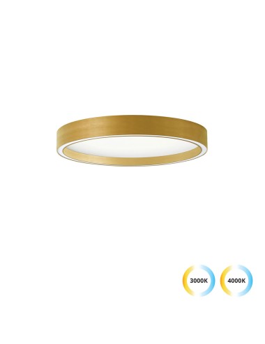 Deckenleuchte Vanessa Ø40 LED