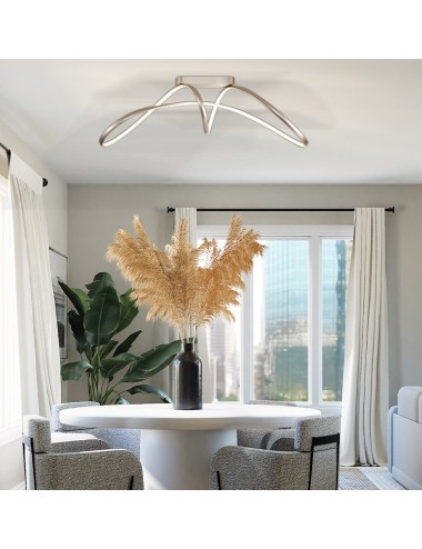 Ceiling lamp Caprice LED