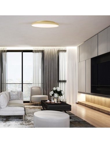 Потолочная лампа Art Ø45 LED