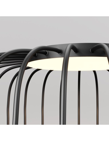 Садовая лампа Wisp LED IP54