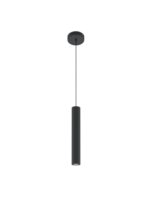 Pendant lamp Pro Focus Ø6 LED