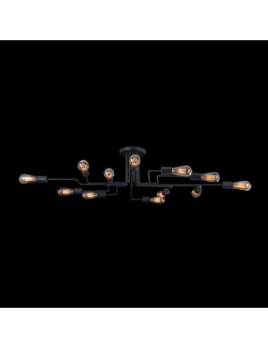 Griestu lampa Gilbert T532CL-12B | Maytoni | TavaGaisma.lv