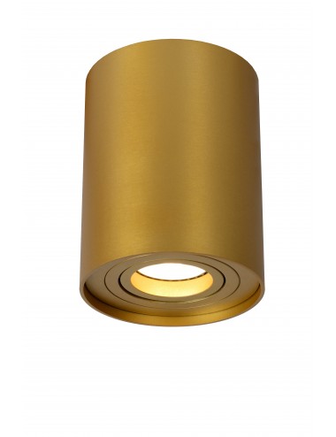 Spotleuchte Tube