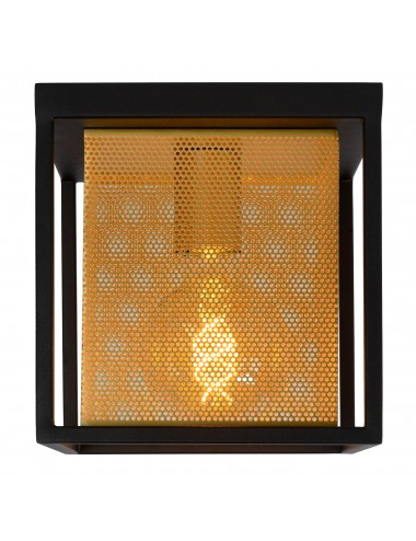 Lubinis šviestuvas Sansa 21122/01/30 | Lucide | TavaGaisma.lv/lt