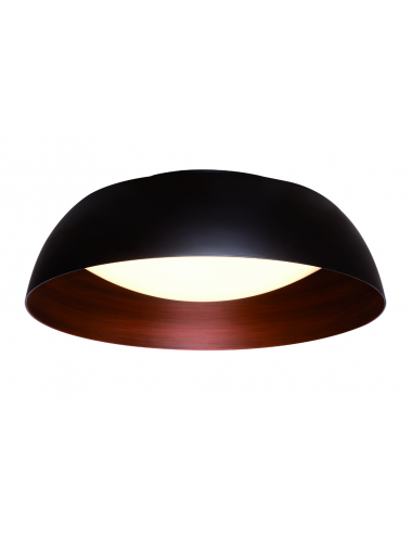 Griestu lampa Chester
