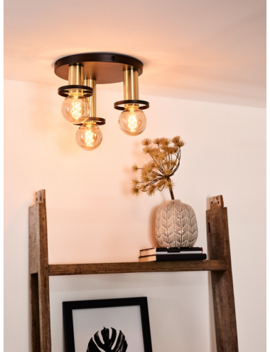 Griestu lampa Anaka